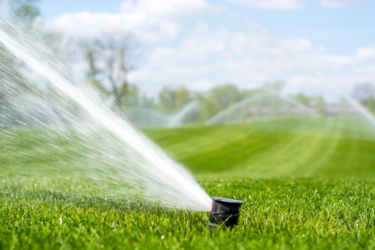 irrigation systems and sprinklers