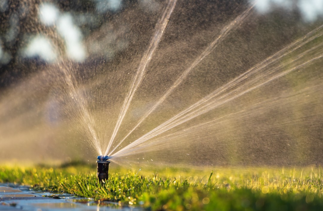 sprinkler system satx