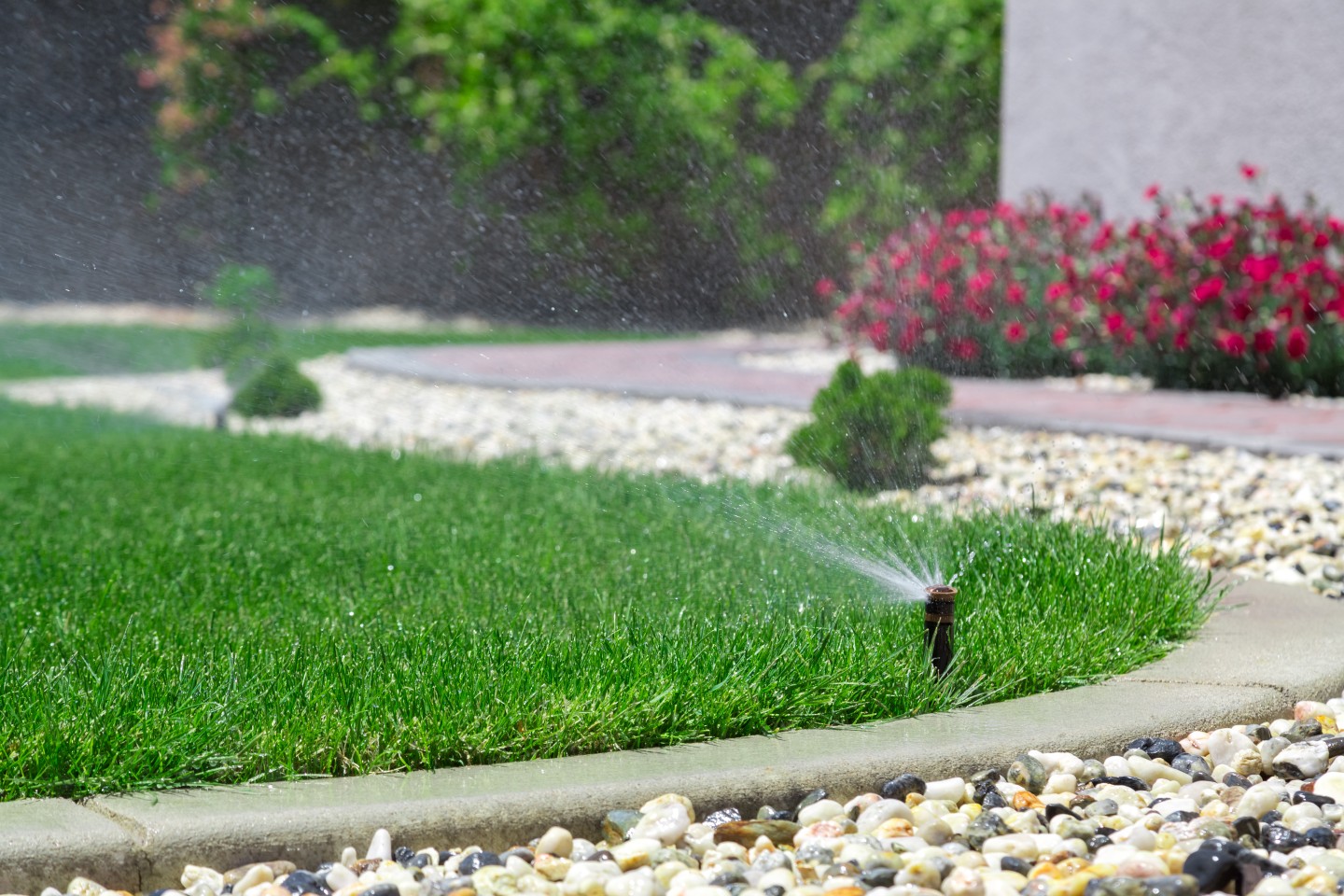 sprinkler system services